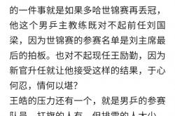 开云体育入口-包含德国队险胜日本队，王皓点燃赛场的词条