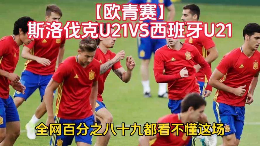 关于斯洛伐克队在欧预赛中成绩稳中有升，冲击前十的信息